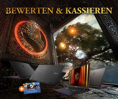 30-USD-Steam-Gutschein – REVIEW & RECEIVE PROGRAM